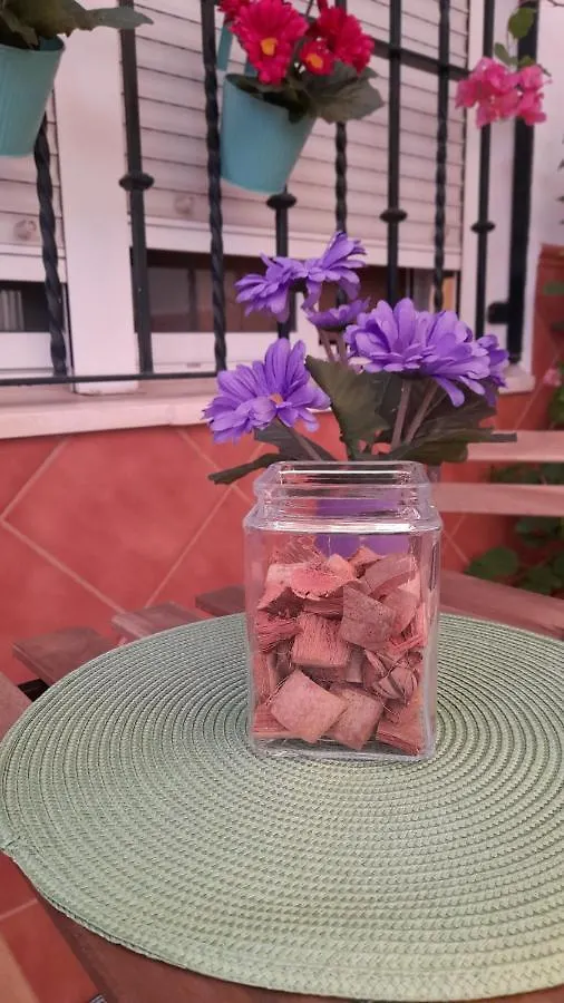 Holiday home Casa Flamenca Villa Castilleja de la Cuesta Spain